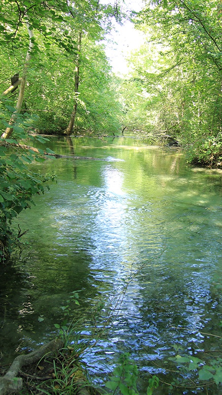 milieu aquatique et rivière