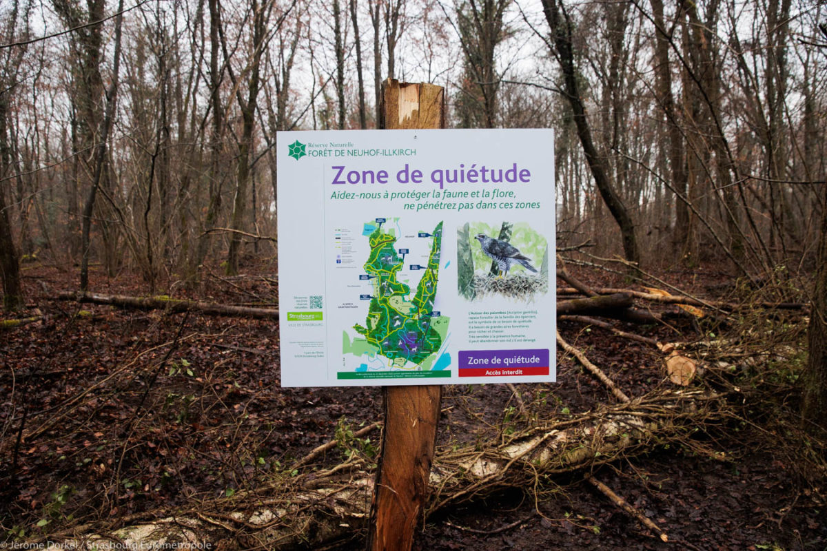 Présentation d'un panneau d'information installé sur site, informant du périmètre de la zone de quiétude mise en place pour la faune et expliquant son objectif.